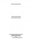ANALISIS FINANCIERO BASICO..