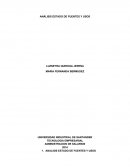 ANALISIS FUENTES Y USOS - MAFE BERMUDEZ -LUZNEYRA..