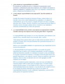 ¿Qué entiende por responsabilidad social (RSE)