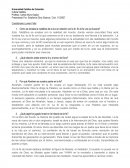Cómo se emplea la metáfora de la luz en relación con la fe. Es la fe una luz ilusoria?