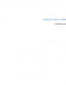 ENSAYO SOBRE ÉMILE DURKHEIM CAMBRIDGE .