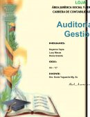 PRACTICA AUDITORÍA DE GESTIÓN MINISTERIO DEL AMBIENTE..