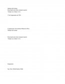 GUIA MANEJO DEL BUEN TIEMPO.