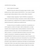 CASO PRÁCTICO MANGO