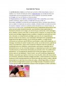 Corrida De Toros La corrida de toros o toreo es una fiesta que consiste en lidiar toros bravos