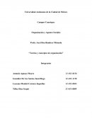 Teorías y conceptos de organización