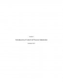 Introducción al Control de Procesos Industriales.