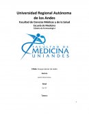 TEMA: Ensayo Cáncer de Colón.