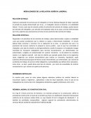 Modalidades de la relacion juridica laborao.