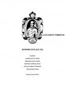 INFORME DE PLAZA VEA