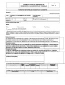 Formato Reporte de incidente ROBO DE ESPEJO