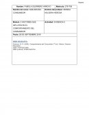 Evidencia 2 Análisis del consumidor.