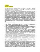 Ciclo de mujer y del hombre; hormonas femeninas y masculinas; zonas erogenas; afrodiciacos