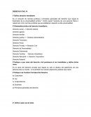 DERECHO CIVIL IV. Actividad