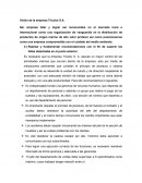 Visión de la empresa Tricolor S.A.