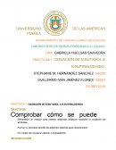 Laboratorio de química orgánica II.