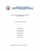 PROYECTO AGUA DE PANELA ENVASADA