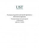 Neuropsicología de la percepción (gnosias) y alteraciones (agnosia).