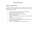 INVESTIGACION DE MERCADO.PROPOSITO DE LA INVESTIGACION