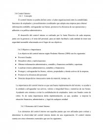 Control interno y su importancia.. Página 1