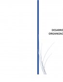 Evaluación de los efectos del DO: Aspectos y Problemas
