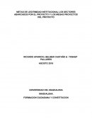 METAS DE LEGITIMIDAD INSTITUCIONAL LOS SECTORES ABARCADOS POR EL PROYECTO Y LOS MEGAS PROYECTOS DEL PROYECTO