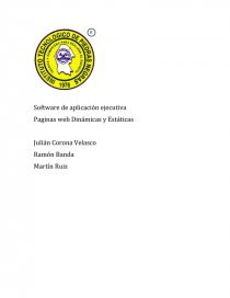 Software de aplicación ejecutiva.. Página 1