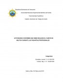 Documentacion para pasantias.