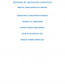 DEMANDA-OBLIGACION ALIMENTICIA.
