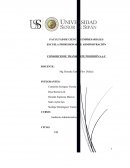 CONSORCIO DE TRANSPORTE POSEIDÓN S.A.C.