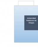 PROTOCOLO DE SEGURIDAD.