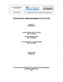 TÉCNICAS DE DIMENSIONAMIENTO DE LOTES