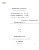 TRABAJO DE RECONOCIMIENTO..