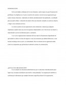 ¿Qué es una organización?