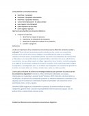 Como planificar un proyecto didáctico