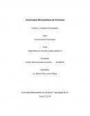 Diagnósticos de entrada y salida capitulo III