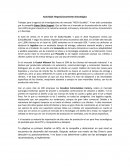 Actividad: Reposicionamiento estratégico de la empresa Súper Vitrio Support