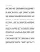 ENSAYO ETICA PARA AMADOR...