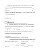 CONTRATO - PRESTACION DE SERVICIOS PROFESIONALES.