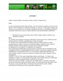 ACTIVIDAD 1 Según los temas tratados en la primera semana, resuelva el siguiente caso.