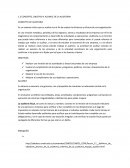 CONCEPTO, OBJETIVO Y ALCANCE DE LA AUDITORIA