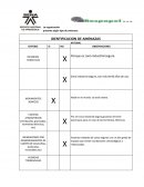 La organización presenta algún tipo de amenaza: IDENTIFICACION DE AMENAZAS