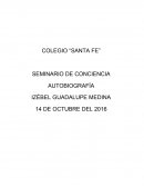 COLEGIO “SANTA FE” SEMINARIO DE CONCIENCIA