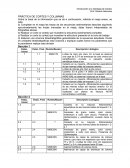 PRÁCTICA DE CORTES Y COLUMNAS