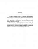 Practica Profesional I Dificultades del aprendizaje