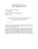 INDUSTRIA DE METAL MECÁNICA