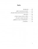 Creación de un camerino