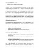 Tema 1. Formación histórica y concepto