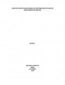 MATRIZ DE INDICADORES LOGISTICOS