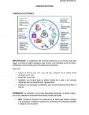 COMERCIO EXTERIOR COMERCIO ELECTRÓNICO